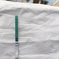 我眼睛都快看瞎了，姐妹们帮我看下，到底有没有怀孕呀？急急急……