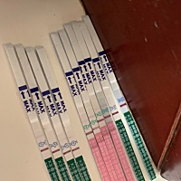 好怕炸胡，这几天连续测，除了早上七点多的时间段试孕纸都测不出，七点多的时候就能测出，排卵试纸就都...