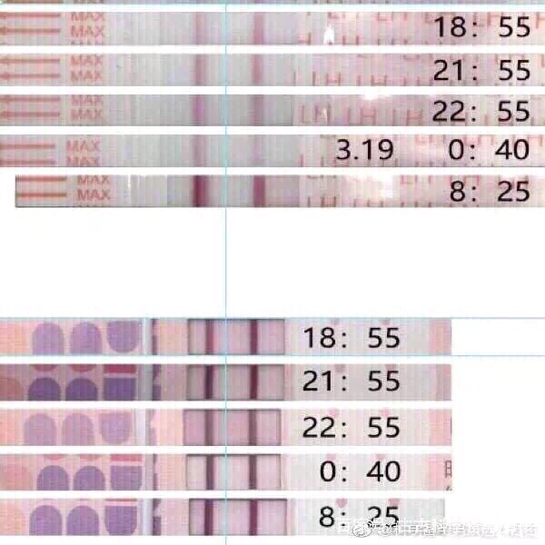 古古科学备孕原创排卵湿试纸
