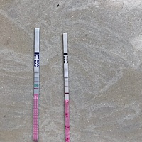 4月18末次，大概5月几号的排卵期，昨天测还是白板，刚测就有印了，这两天感觉嗅觉特好，什么味都能闻出...