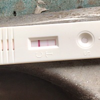 这个是怀了还是没怀