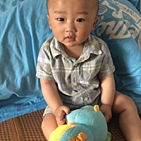 有谁像我们八个月还坐不稳的吗？更不要说爬了^ - ^
