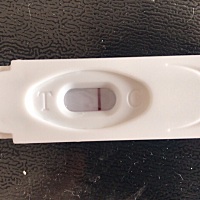 看看我是怀了吗  最后的是今天测的 今早