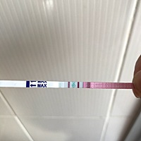 4月29号来的例假，按照怀孕管家记录的是14号排卵日，测试一直没有，今天测试第7天了，这该有点有点希望...