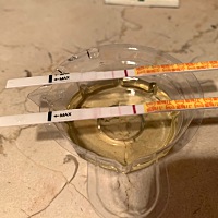 备孕第三个月，目前怀孕可能十天到十五天左右，居然测试出来了，可能宝宝是想要给我们一个5-20礼物吧