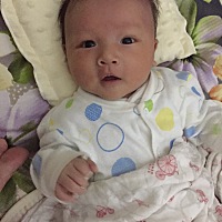 孩子三十几天了总是整晚不睡，白天吵不醒。我白天又睡不着。感情是来收拾我的。求宝妈们妙招。 一