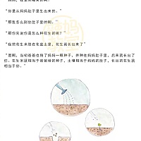 妈妈，我从哪里来