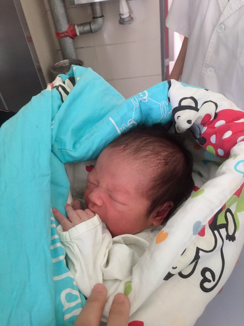 附上大宝和小宝的照片