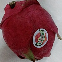 一个火龙果18块[擦汗]今年的水果超级贵😒火龙果15一斤，青提18一斤，无籽红提30一斤😱😱😱不挣...