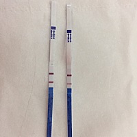 5.20不自觉的进店买试纸，回学校开会，回来测了下，把自己吓到了，末次月经4.9，是有了吗