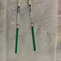 真的吗？这是不是真的