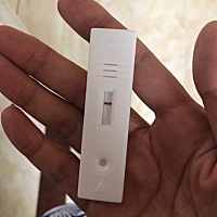 排卵第十二天 哎