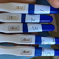 上次姨妈是4月15日来的，但是我姨妈一般都不准时，昨天5月20日测了一下，有一深一浅，请问有经验的姐妹...