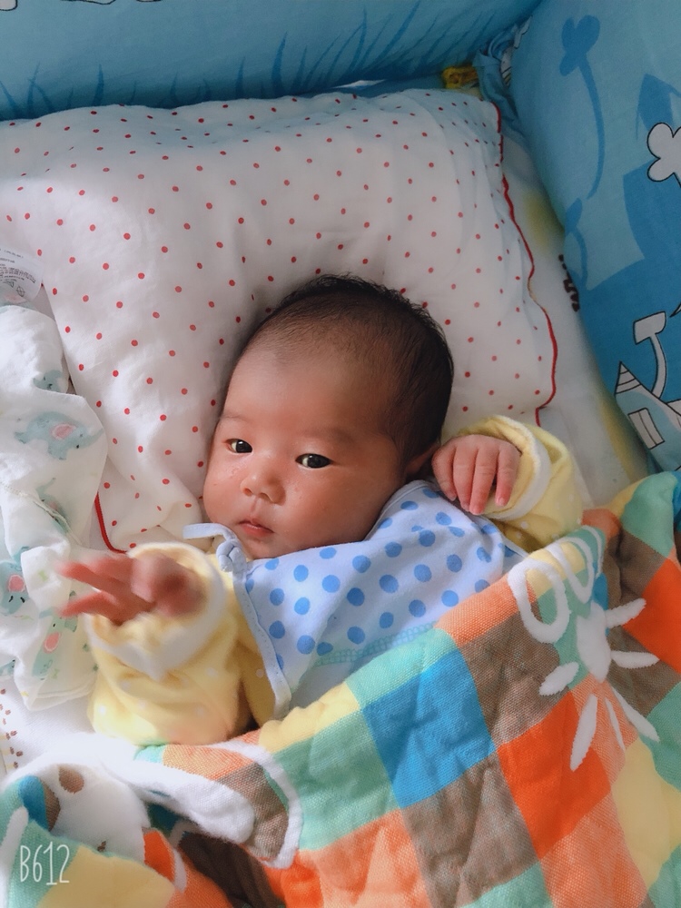 第1天12.13.14.15天