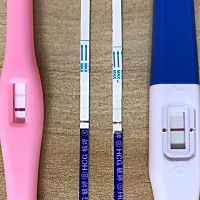 坐等下周去查b超