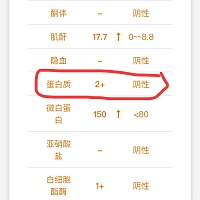 孕妈们 有没有尿检蛋白质2+的  今天医生说这个如果真的是2+是非常严重的  这个到底是什么啊  让我两周后...