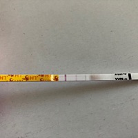 请问这个什么意思？排卵没有？