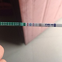 备孕第二个月，应该是有了吧