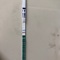 末次月经4月24号，这样子是有了还是意念灰？还是生化？