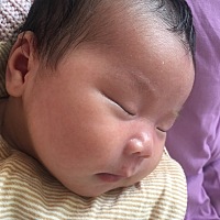 有宝宝从小踏鼻尖吗、我家宝出生鼻尖平平的、不知道后面会不会长、我和宝爸都不是这样