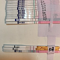 这次排卵推迟了一周！末次4.22 周期差不多34天，17强阳当天晚上排掉了，18早上还特意去做了个B超！已排...