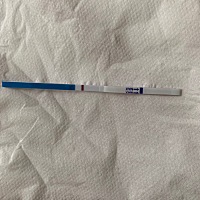 上次4.27，月经基本准时，最多推迟两天，这个月还有三天就要大姨妈了，测出来还是白板，胸胀已有十天，...