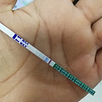 4月22末次月经，今天测了一下，不确定到底有没有