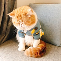 检查说是孕囊偏右 医生说再看看过一阵复查，百度说的很严重 有相同情况的么