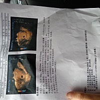 有没有人会看，这怀的是男孩还是女孩，好奇。