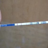 刚开始备孕，次末月经24号，29号安全期同房又有了，这中奖率醉了😂😂😂