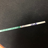 上月姨妈23号，这月推迟了两天，这是怀孕了吧？