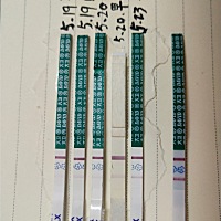 末次4-20  终于测到加深了最后那根今晚测的