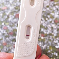 这样是有宝宝了吗？求解