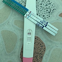 麻烦各位宝妈指教一下，这样是怀孕吗？？