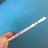 姨妈干净第二天，金秀儿开始慢慢强阳了，期待排卵日到来，不想错过了