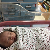 一直以来，几乎个个都说是女孩子，也没去查过是男还是女，啥数据都是假的，只有生下来才是准确的，...