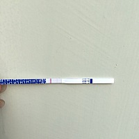 昨天单位组织做了常规体检，其中阴道B超看到子宫右侧有两公分的圆形⭕️疑是囊肿，又像是卵泡发育，今天...