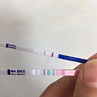 末次月经5.1号       这算是有了吧？排卵试纸强阳  早孕弱阳