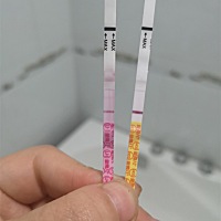 排卵试纸是弱阳，早孕是白板！好难过！这应该是没怀孕吧？