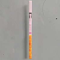 我是5月16日排卵，今天早晨测的早孕试纸（金秀儿），是不是中奖了...大姨妈也就是这一两天...