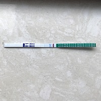 还是白的不能再白 月经推迟第三天 总感觉有点发烧 昨天晚上都37.6 早上基础体温37.2