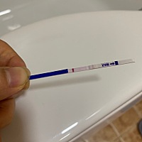 这个算有两条杠吗？？可是胸涨涨的 今天又是姨妈日，感觉要来姨妈了呢！