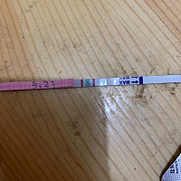 这是强阳吗同床怀孕几率大吗