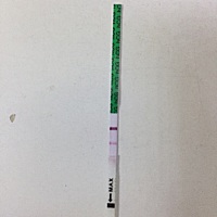 各位姐妹 我刚测得 这是有了吗