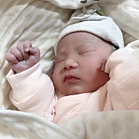 报喜啦。佩琪一枚💛