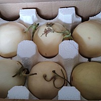 甜瓜5斤14.9，木瓜这么大个24.9.今天刚到就给宝宝吃了点，宝宝们很爱吃。^_^