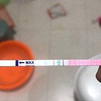 末次4月28号  家里没有早孕试纸了。刚才随手测了个排卵 问了客服说 让我明早用早孕测一下 可能是有了 好...