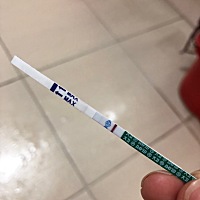 请问这是怀孕了吗？大卫试纸