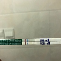 请大家帮忙看看是否有孕，着急！！    备孕两月，第一个月没用排卵纸，五月开始测排卵，测到14号排卵，...