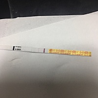 上次月经4月15日，推迟好多天了，今早测的，这是有还是没有。